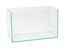 Come costruire un acquario 1163 0 Come costruire un acquario